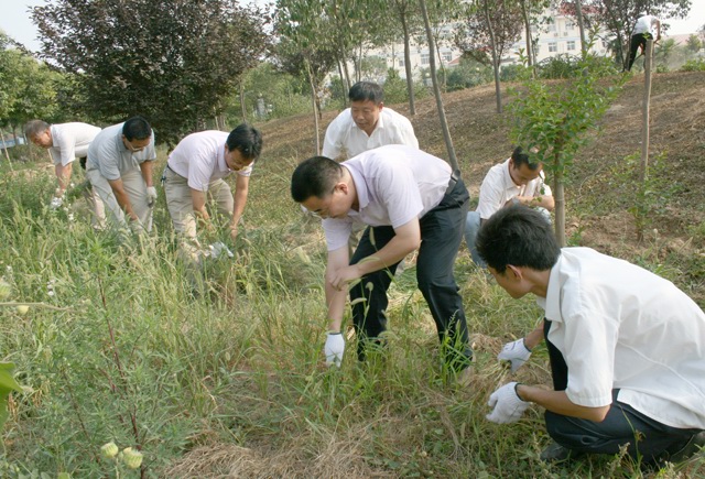 集团公司党员义务劳动迎七一