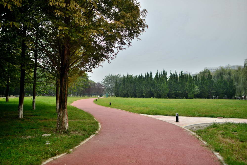 （彩色路面）许昌中央公园彩色沥青道路
